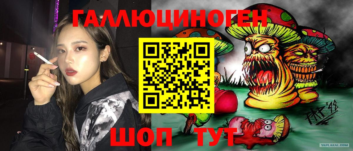 Псилоцибиновые грибы прущие грибы Советск