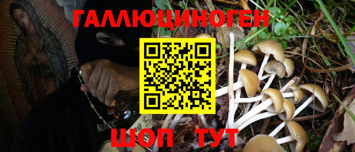 Советск  Псилоцибиновые грибы GOLDEN TEACHER  Вход с VPN 